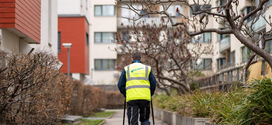 Laub entfernen & Grünflächen winterfest machen: Checkliste für Hausverwaltungen und Firmenareale