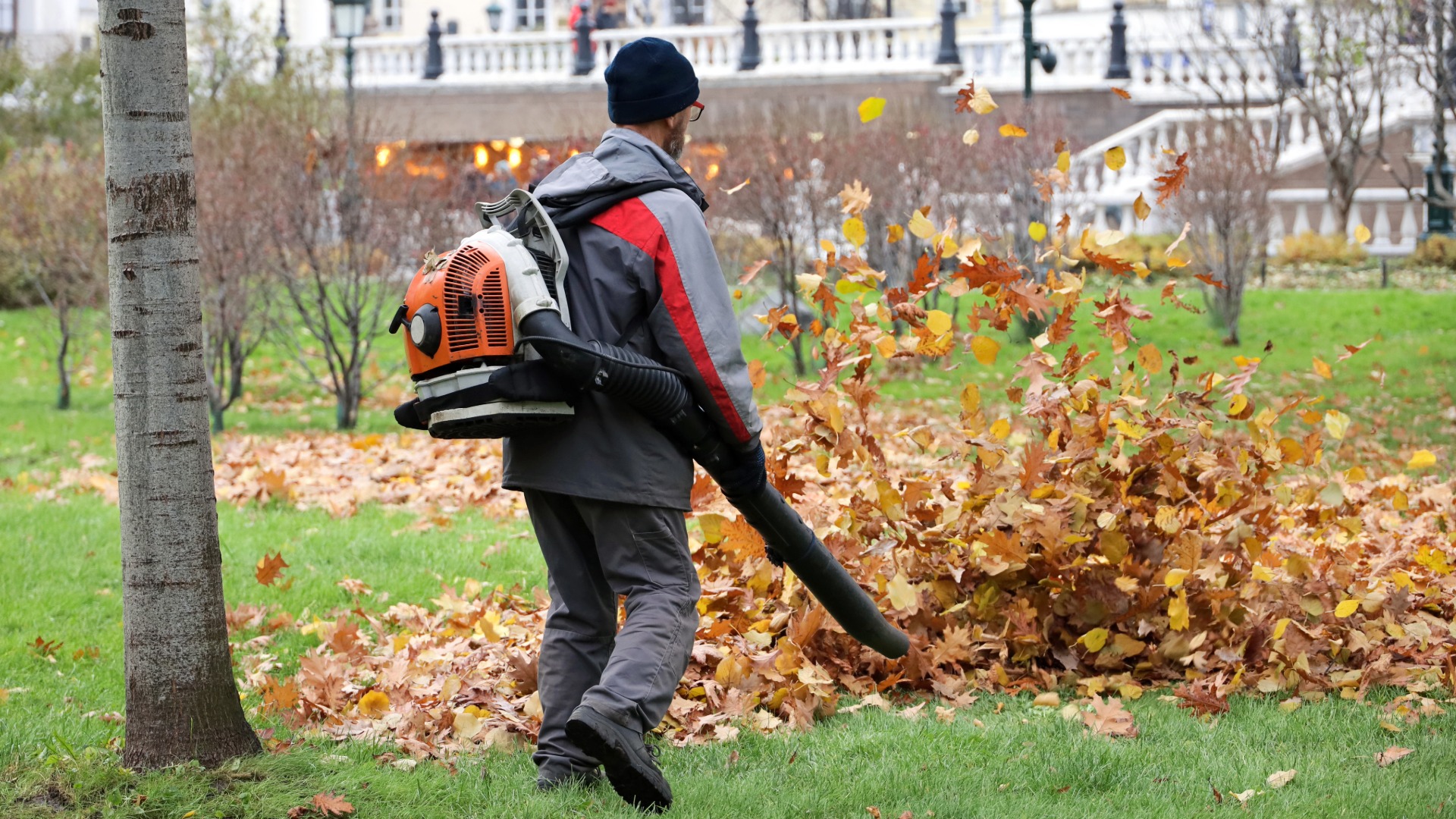 laubblasen Laubentfernung und Herbstarbeiten auf Grünflächen durch