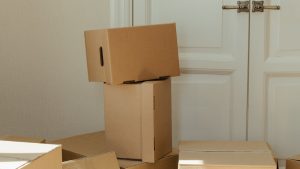 Umzug mit Perlenrein Umzug mit Perlenrein