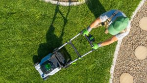 rasenmähen Professionelles Rasenmähen und Rasenpflege durch Perlenrein in Wien