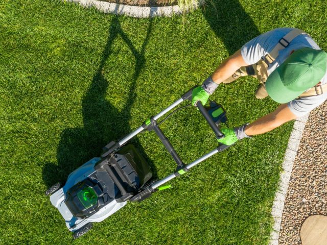 Gartenpflege im Jahresverlauf: Der Saisonkalender für Wien & Niederösterreich