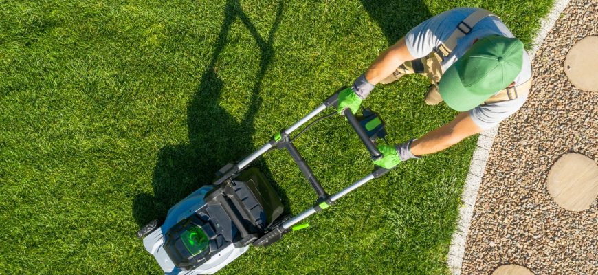 Gartenpflege im Jahresverlauf: Der Saisonkalender für Wien & Niederösterreich